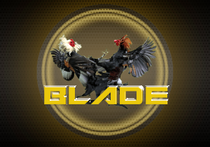 Cockfight AOG Blade Cockfight