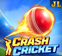 Arcade Crash Cricket
