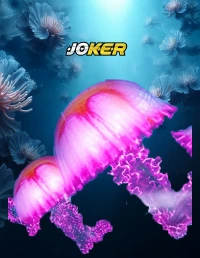Fish Hunter 2 EX - Pro