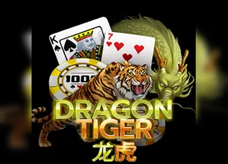 Others Dragon Tiger