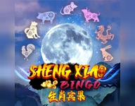 Others Sheng Xiao Bingo