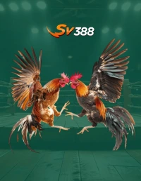 SV388