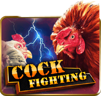 Cockfight SV388