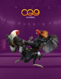 AOG Blade Cockfight