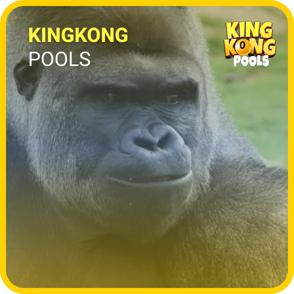 King Kong 4D